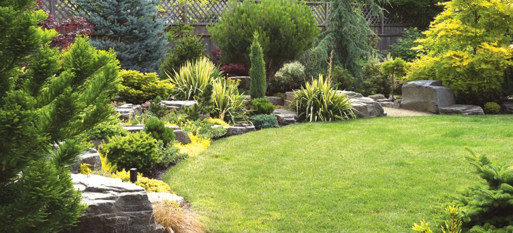 What to Look to Hire a Landscaping Company 2021